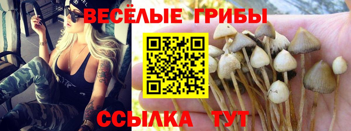 Галлюциногенные грибы мицелий Сатка