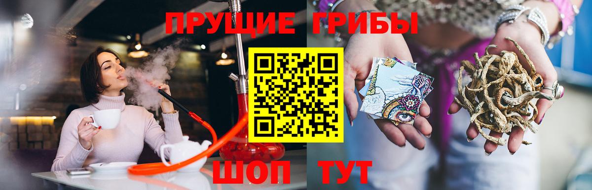 Сатка  Псилоцибиновые грибы Cubensis  Вход с VPN 