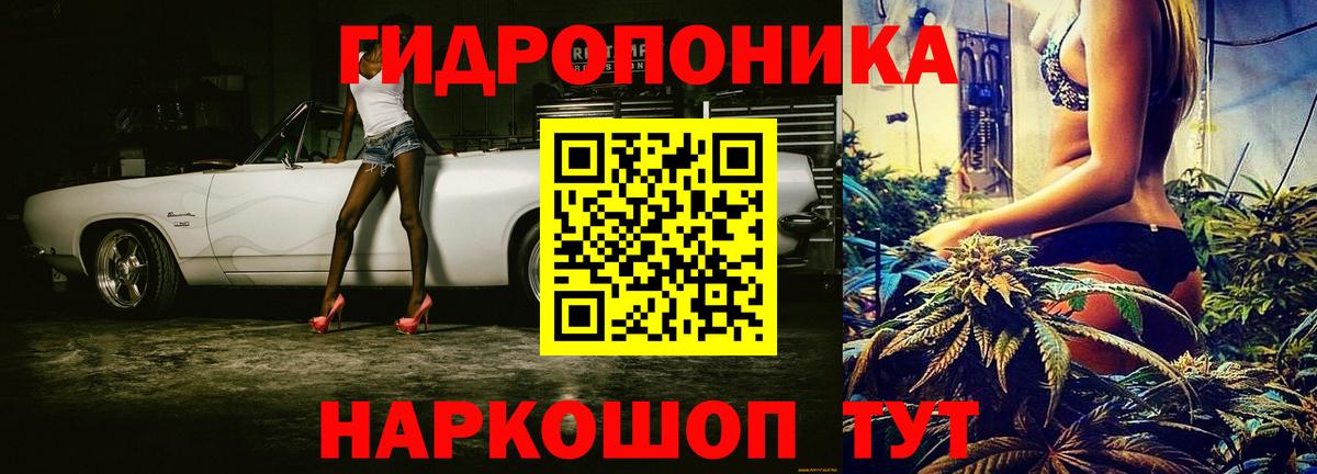 Бошки марихуана конопля Сатка